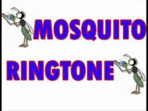 Mosquito ringtones