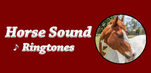 Horse ringtones